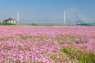  Huangshi, Hubei, Çin 'deki Shenjiaying Wharf Park nehir sahili manzarası