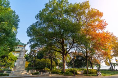 Tingtao Manzarası, Doğu Gölü, Wuhan, Hubei