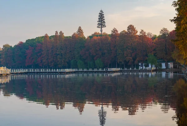 Cenário Final Outono Tingtao Scenic Area East Lake Wuhan Hubei — Fotografia de Stock