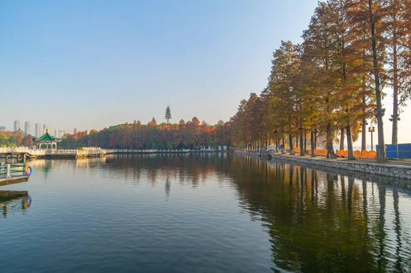 Late Herfst Landschap Van Tingtao Scenic Area East Lake Wuhan — Stockfoto