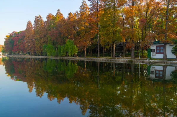 Late Herfst Landschap Van Tingtao Scenic Area East Lake Wuhan — Stockfoto