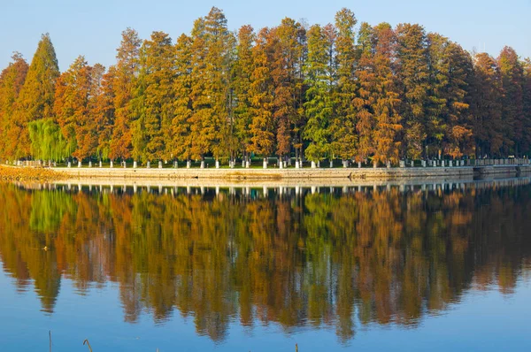 Cenário Final Outono Tingtao Scenic Area East Lake Wuhan Hubei — Fotografia de Stock