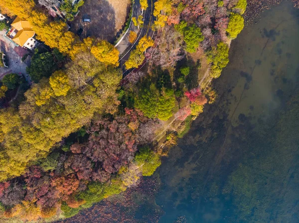 Aerial Photography Scenery Tingtao Scenic Area East Lake Wuhan Hubei — Stock Photo, Image