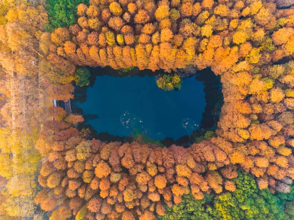 Aerial Photography Scenery Tingtao Scenic Area East Lake Wuhan Hubei — 图库照片