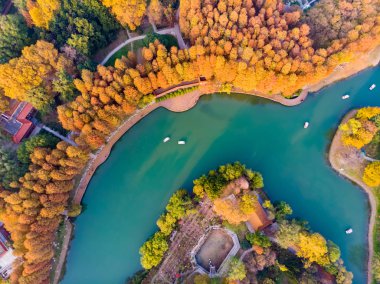 Sonbaharın sonlarında Jiefang Park, Wuhan, Hubei 'nin hava fotoğrafçılığı.