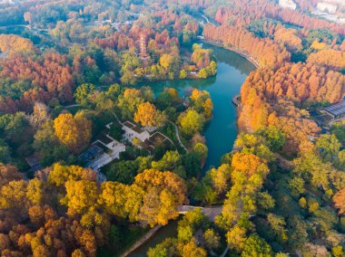 Sonbaharın sonlarında Jiefang Park, Wuhan, Hubei 'nin hava fotoğrafçılığı.