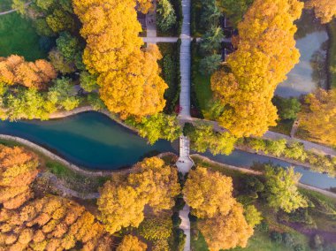 Sonbaharın sonlarında Jiefang Park, Wuhan, Hubei 'nin hava fotoğrafçılığı.
