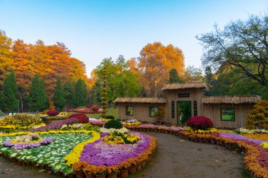 Jiefang Park 'ın sonbahar manzarası, Wuhan, Hubei, Çin