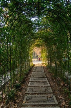 Jiefang Park 'ın sonbahar manzarası, Wuhan, Hubei, Çin
