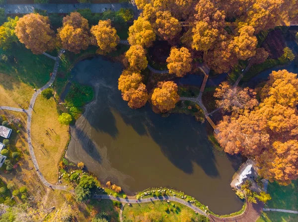 Aerial Photography Scenery Jiefang Park Wuhan Hubei Late Autumn — Stock Photo, Image