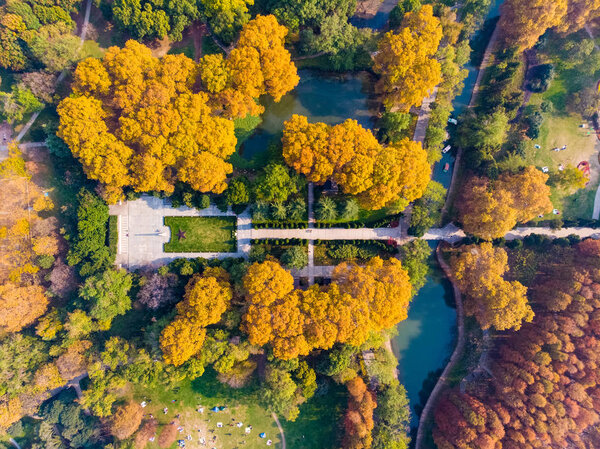 Aerial photography scenery of jiefang Park, Wuhan, Hubei in late autumn