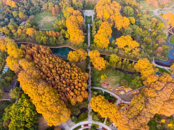 Scenario Aereo Jiefang Park Wuhan Hubei Nel Tardo Autunno — Foto Stock