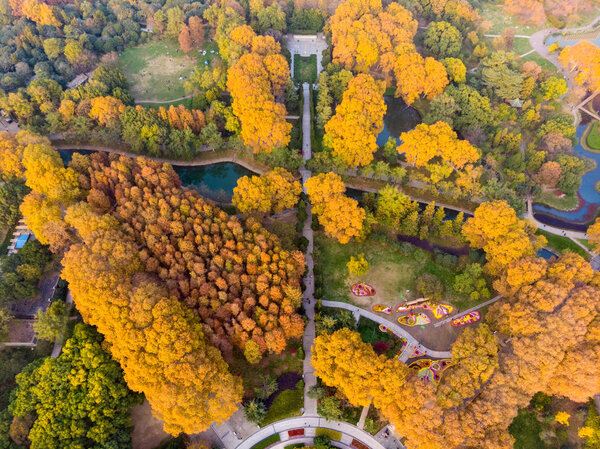 Aerial photography scenery of jiefang Park, Wuhan, Hubei in late autumn
