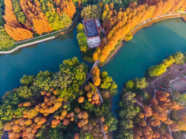 Sonbaharın sonlarında Jiefang Park, Wuhan, Hubei 'nin hava fotoğrafçılığı.
