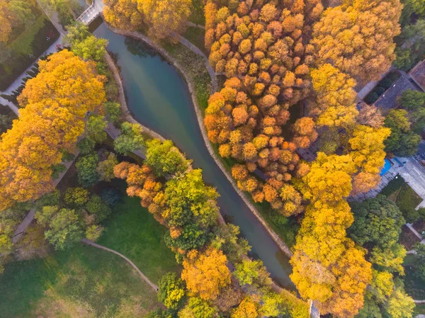 Aerial Photography Scenery Jiefang Park Wuhan Hubei Late Autumn — стокове фото