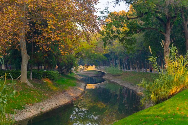 Paisajes Finales Otoño Del Parque Jiefang Wuhan Hubei China — Foto de Stock