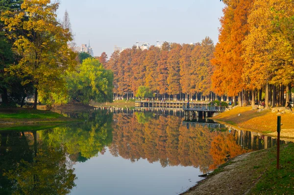 Cenário Final Outono Jiefang Park Wuhan Hubei China — Fotografia de Stock