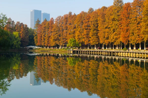 Late Herfst Landschap Van Jiefang Park Wuhan Hubei China — Stockfoto