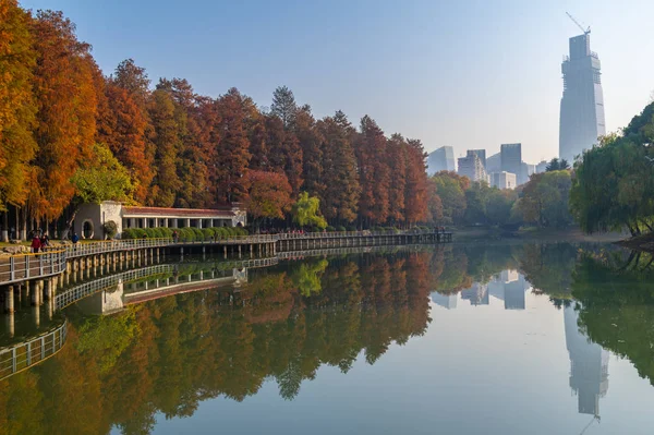 Αργά Φθινόπωρο Τοπίο Της Jiefang Park Wuhan Hubei Κίνα — Φωτογραφία Αρχείου