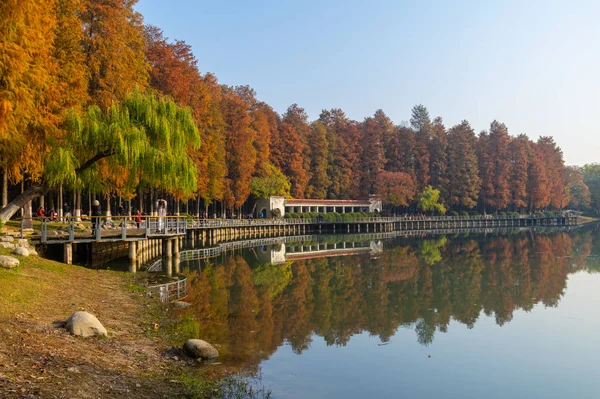 Paisajes Finales Otoño Del Parque Jiefang Wuhan Hubei China — Foto de Stock