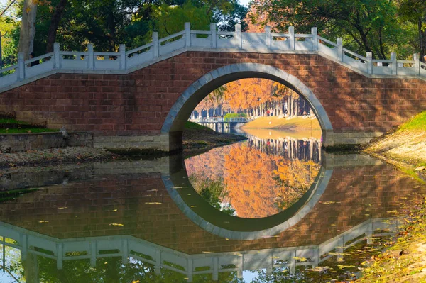 Late Herfst Landschap Van Jiefang Park Wuhan Hubei China — Stockfoto