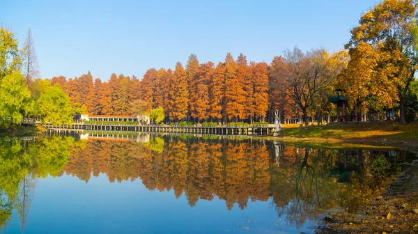 解放公園 湖北省 中国の晩秋の風景 — ストック写真