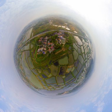 Hubei, Daye 'deki Baoan Gölü Ulusal Sulama Parkı' nın bahar manzarası