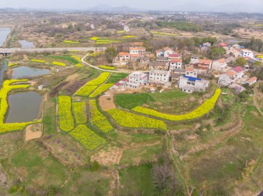 Hubei, Daye 'deki Baoan Gölü Ulusal Sulama Parkı' nın bahar manzarası