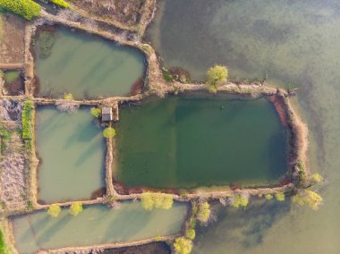 Hubei, Daye 'deki Baoan Gölü Ulusal Sulama Parkı' nın bahar manzarası