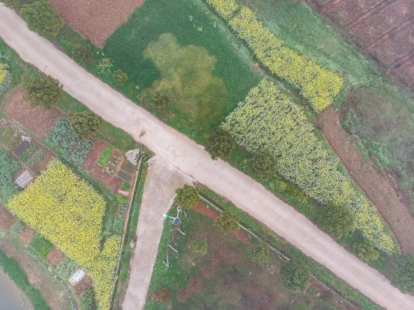 Spring Aerial Scenery Baoan Lake National Wetland Park Daye Hubei — Stock Photo, Image