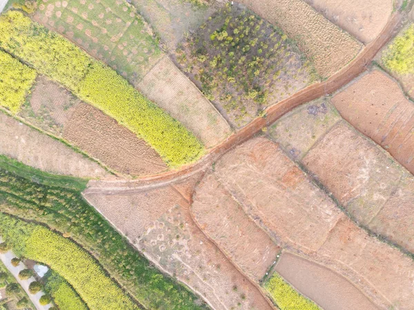 Spring Aerial Scenery Baoan Lake National Wetland Park Daye Hubei — Stock Photo, Image