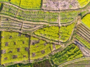 Hubei Daye Zhaoshan Orman Parkı 'nın bahar havacılık manzarası