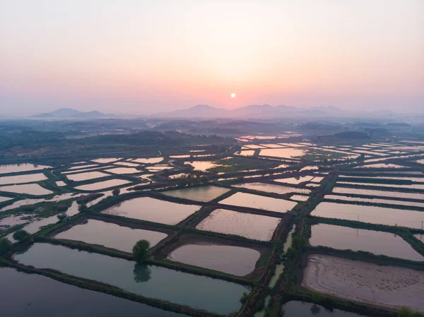 Hubei Daye Baoan Gölü Ulusal Wetland Parkı Baharı Hava Doğumu — Stok fotoğraf