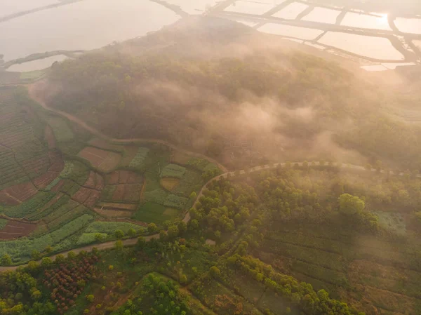 Hubei Daye Baoan Lake National Wetland Park Spring — 스톡 사진