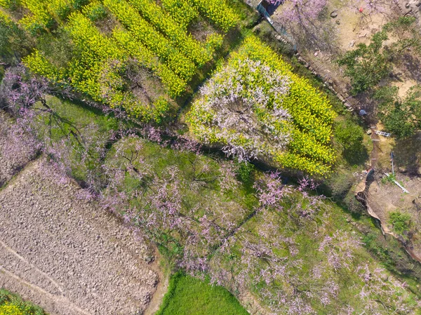 Весняні Аерофотознімки Лісового Парку Хубей Дай Чжаошан — стокове фото