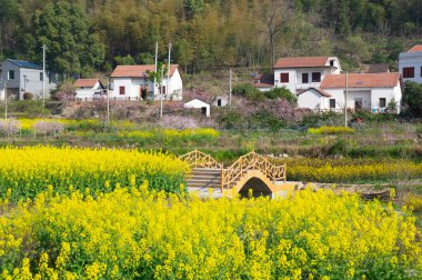 Hubei Daye Zhaoshan Orman Parkı 'nın bahar manzarası