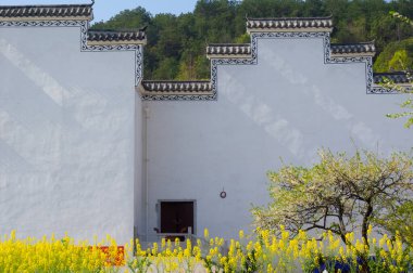 Hubei Daye Zhaoshan Orman Parkı 'nın bahar manzarası
