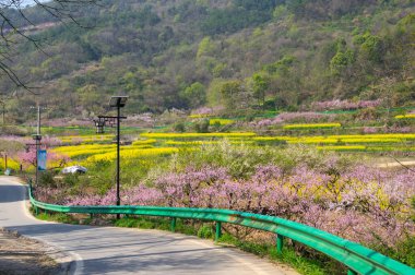 Hubei Daye Zhaoshan Orman Parkı 'nın bahar manzarası
