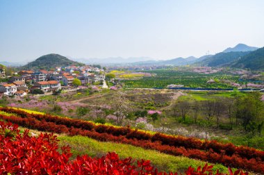 Hubei Daye Zhaoshan Orman Parkı 'nın bahar manzarası