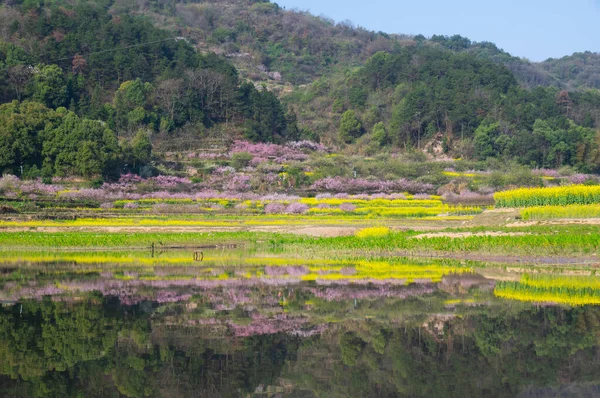 Wiosenna Sceneria Hubei Daye Zhaoshan Forest Park — Zdjęcie stockowe