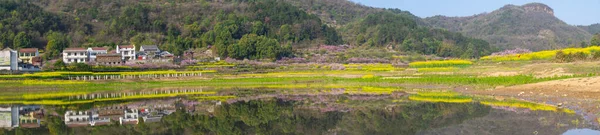 Весенний Пейзаж Лесопарка Хубэй Чжаошань — стоковое фото