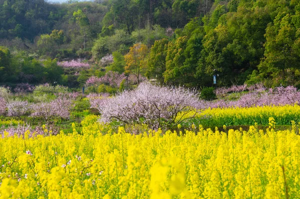 Paisaje Primavera Del Parque Forestal Hubei Daye Zhaoshan —  Fotos de Stock
