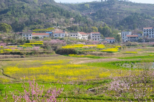 Lente Landschap Van Hubei Daye Zhaoshan Forest Park — Stockfoto