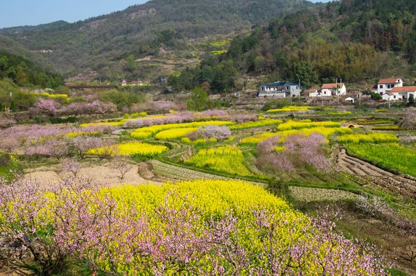 Lente Landschap Van Hubei Daye Zhaoshan Forest Park — Stockfoto