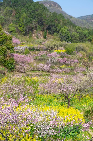 Wiosenna Sceneria Hubei Daye Zhaoshan Forest Park — Zdjęcie stockowe