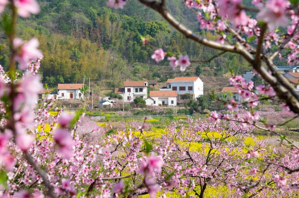 Lente Landschap Van Hubei Daye Zhaoshan Forest Park — Stockfoto