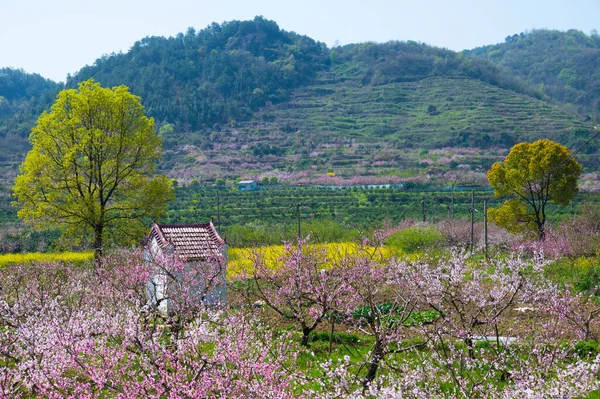 Lente Landschap Van Hubei Daye Zhaoshan Forest Park — Stockfoto