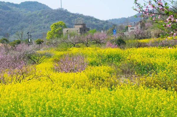 Spring Scenery Hubei Daye Zhaoshan Forest Park — Stock Photo, Image