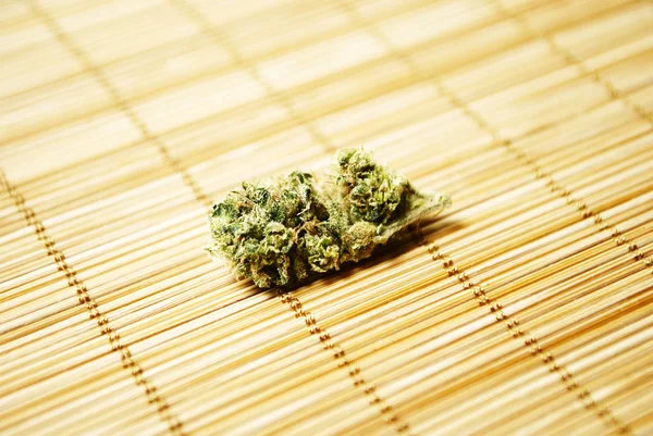 Marijuana e cannabis su sfondo bianco — Foto Stock