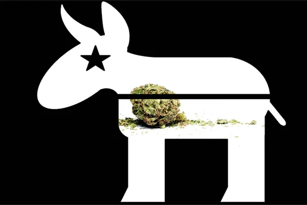 マリファナ政治、大麻の芽、共和党のロバ — ストック写真